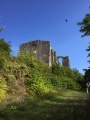 Patrimoine et Forêt à Avon-les-Roches Patrimoine et Forêt à Avon-les-Roches