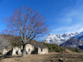 Les ruines des Vllettes