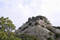 Les ruines du Château de l’Ultrera (Castell d’Ultrera)