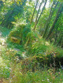 Les ruines