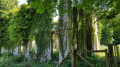Les Ruines Les Ruines