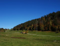 Les Sagneules
