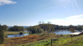 Les Saulieux Les Saulieux