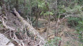 De la Sainte-Baume au Chemin des Rois par les sources de l'Huveaune