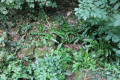Les sources de la Belle