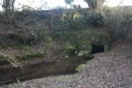 Les sources de la Sèvre Niortaise