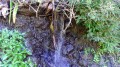 Les sources