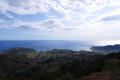 Les terrasses vinicoles