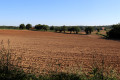 Les terres rouges de Bois Gros