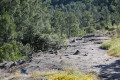 Les tétines de Vernon Les tétines de Vernon