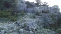 Les "troglodytes"