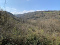 Les vallons forestiers