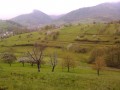 Vallée de Villé : entre vignoble et vergers