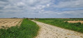 Avin (Hannut) - Thorembais-Saint-Trond