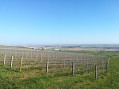 Vignes, champs et bois, crêtes et vallons de Montgueux et Macey