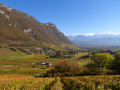 Les Vignes de Montlevin