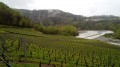 Les Vignes de Pont