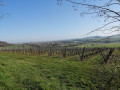 À la découverte de Vic-sur-Seille depuis Château-Salins À la découverte de Vic-sur-Seille depuis Château-Salins