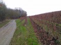 Vallée de l'Hyrôme et du Layon