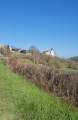 Les Vignes