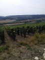 Entre Marne et vignes, au Mont-Saint-Père et sur le Coteau des Orchidées Entre Marne et vignes, au Mont-Saint-Père et sur le Coteau des Orchidées
