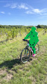 Les vignes Les vignes