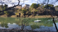 Les villas Les villas