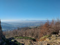 Der Gipfel des Schönbergs und die Ruinen der Schneeburg von Merzhausen aus