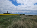 Rundtour zum Leuchtturm Flügge auf Fehmarn