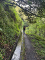 Levada do Castelejo Levada do Castelejo