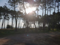 Lever du soleil sur le lac
