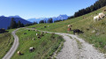 Leysin - Les Mosses