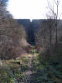 En forêt d'Eawy sur les traces des bombes volantes depuis St-Saens