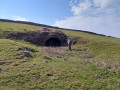 Lime kiln