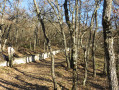 Vers l'Observatoire de Haute Provence