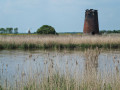 Limpenhoe Drainage Mill