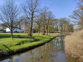 Linton