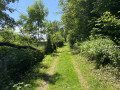 Lisière de bois