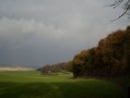 Lisière de la forêt Lisière de la forêt