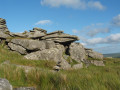 Littaford Tor