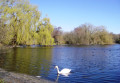 Little Britain Lake