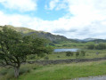 Little Langdale Tarn, Lingmoor behind