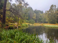 Loch Dunmore, Faskally Forest