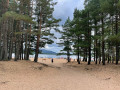 Loch Morlich beach