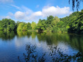 Lohmühlenteich