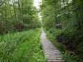 Longue passerelle dans le lit d'un ruisseau