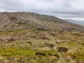 Looking back to the felled area  on Mabbin Crag