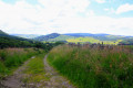 Looking Back Towards Straiton Village