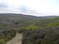 Westerdale and Baysdale Circular