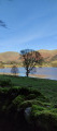 Looking over Grasmere from Red Bank lane